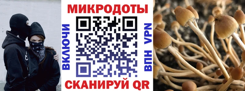 Галлюциногенные грибы Cubensis Купить Верхоянск